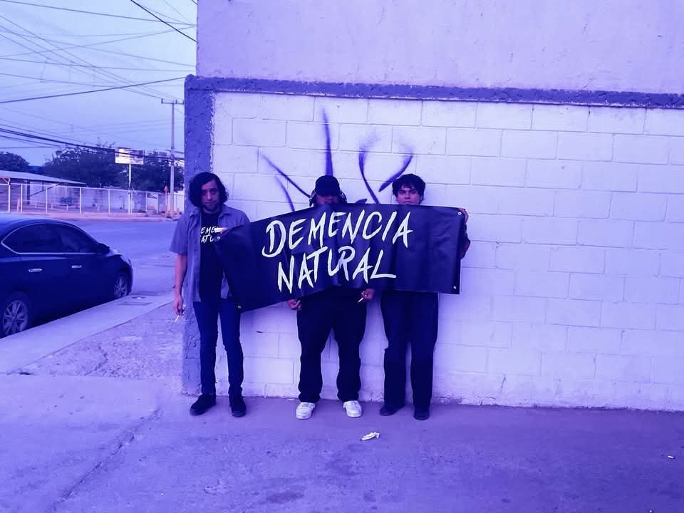 Demencia Natural